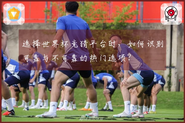 选择世界杯竞猜平台时，如何识别可靠与不可靠的热门选项？