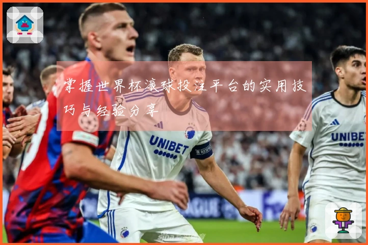 掌握世界杯滚球投注平台的实用技巧与经验分享