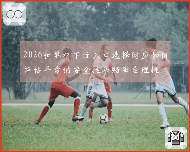 2026世界杯下注入口选择时应如何评估平台的安全性和赔率合理性