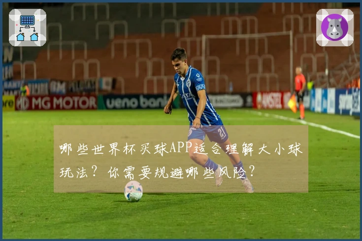 哪些世界杯买球APP适合理解大小球玩法？你需要规避哪些风险？
