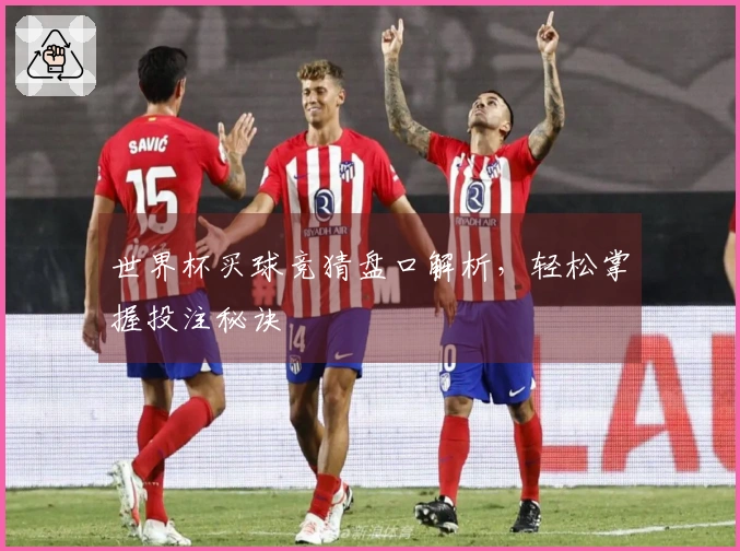 世界杯买球竞猜盘口解析,轻松掌握投注秘诀