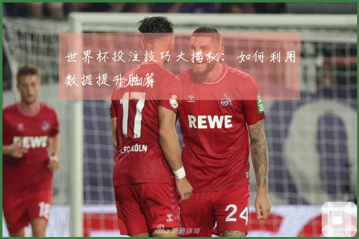 世界杯投注技巧大揭秘:如何利用数据提升胜算