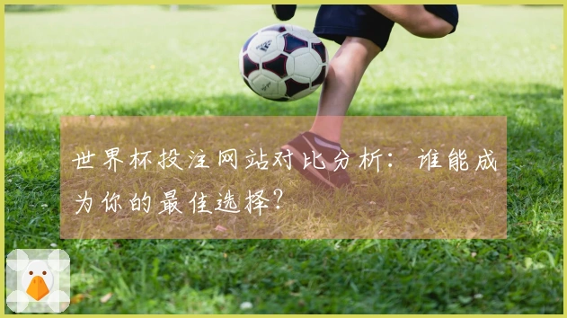 世界杯投注网站对比分析：谁能成为你的最佳选择？
