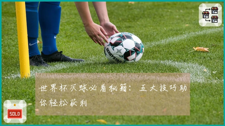 世界杯买球必看秘籍：五大技巧助你轻松获利