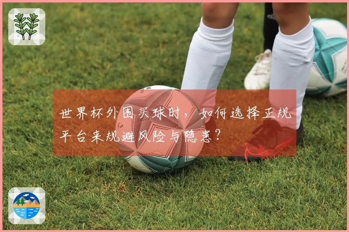 世界杯外围买球时，如何选择正规平台来规避风险与隐患？